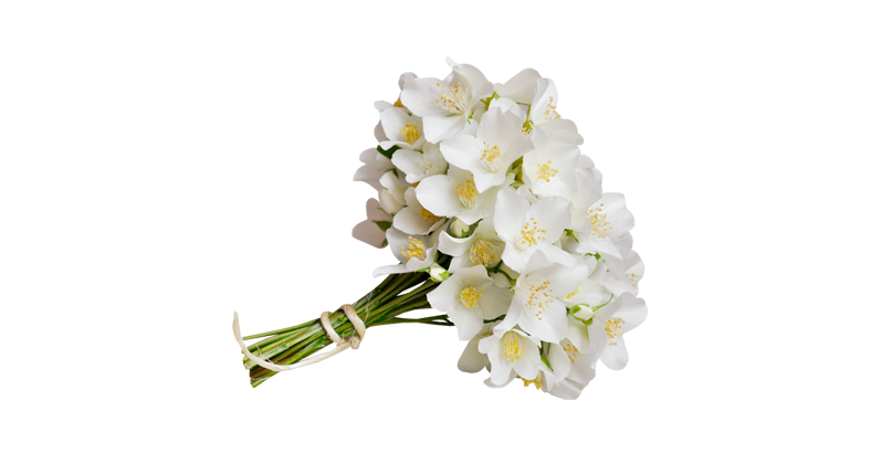 Event-менеджмент