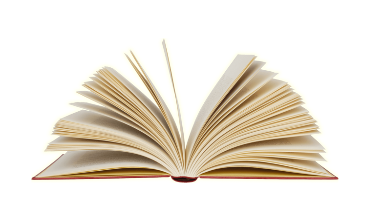 Учитель русского языка и литературы