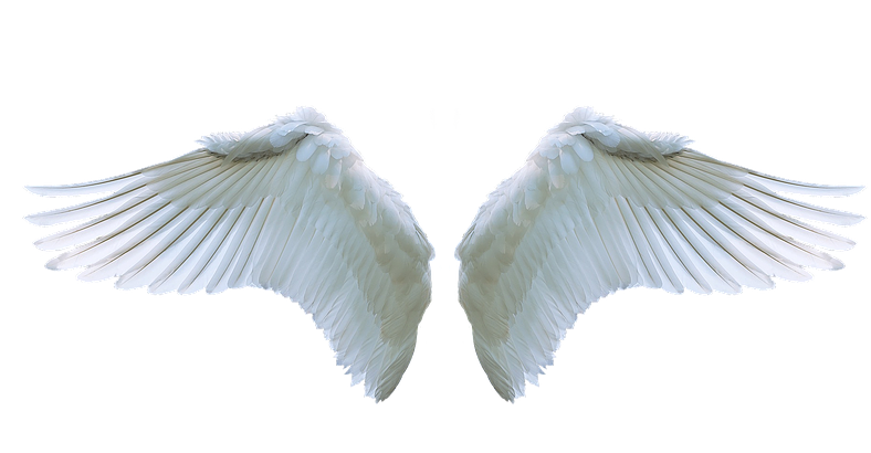 Предпринимательство и управление бизнесом