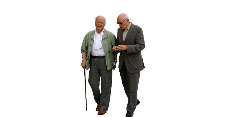 Управление социальными проектами (коммуникации, технологии, реализация)