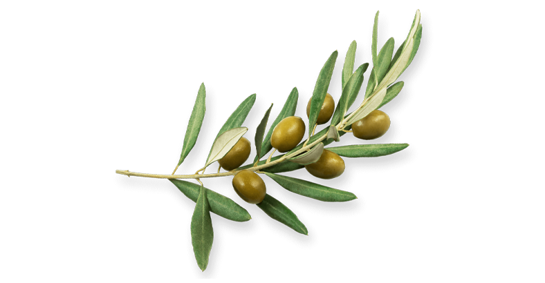 Прикладная психология и психотерапия: междисциплинарный подход