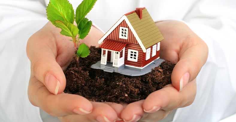 Землеустройство