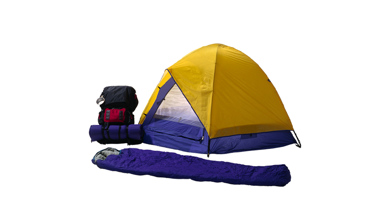 Туризм и гостеприимство