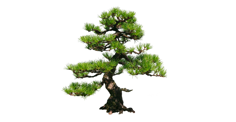 Психотерапия постстрессовых расстройств