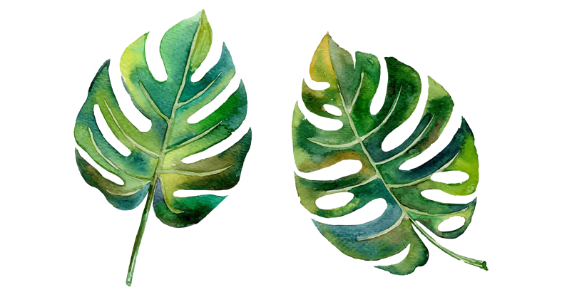 Арт-терапия в психологическом консультировании и развитии личности