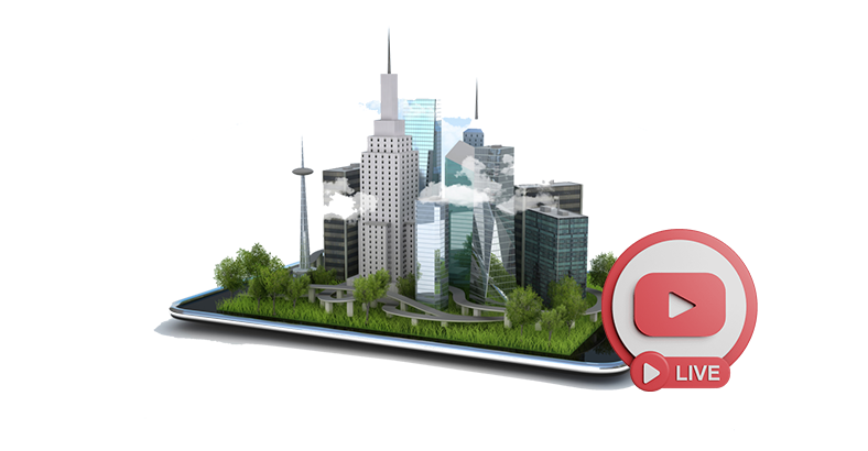 Менеджмент в государственной и муниципальной службе (С ВЕБИНАРАМИ)