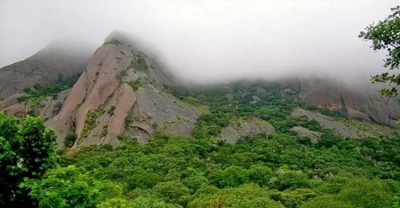 Управление промышленной безопасностью, охраной труда и окружающей среды в нефтегазовом и химическом комплексах