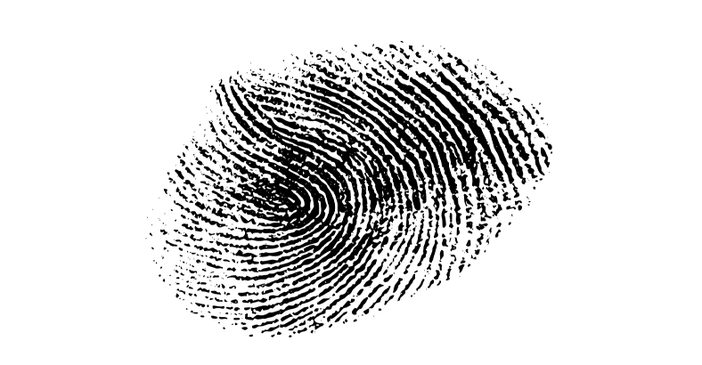 Таможенная деятельность