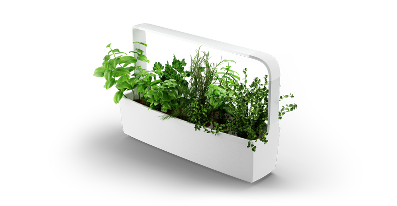 Экономика предприятий и организаций