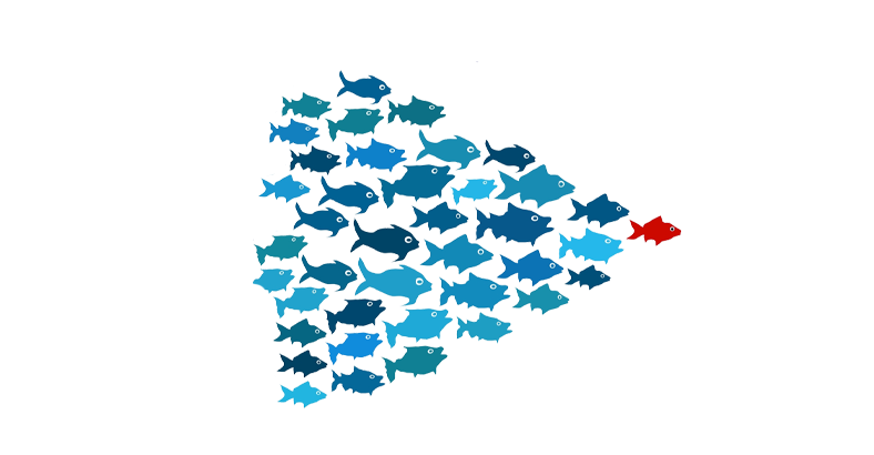 Управление разработкой корпоративных информационных систем