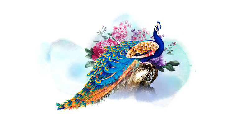 Анимация и анимационное кино (Художник в играх)