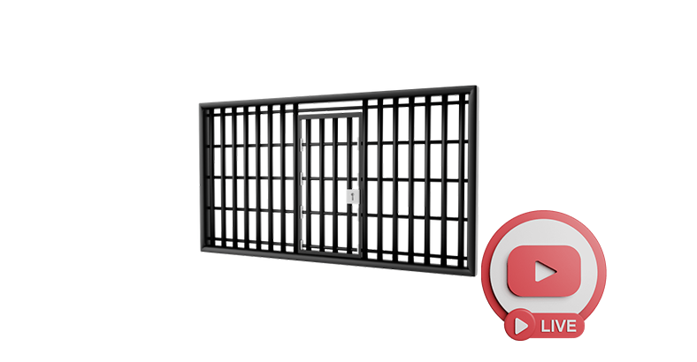 Уголовное право и криминология; уголовно-исполнительное право (С ВЕБИНАРАМИ)