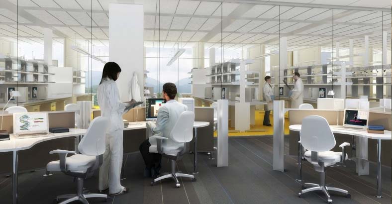 Управление корпоративными информационными процессами